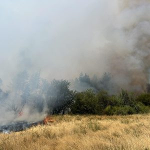 Пожар в района на Самоков заплашва село Алино