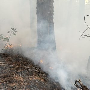 Пожарът в Рила продължава да гори