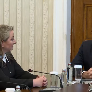 Сачева – единствен представител на ГЕРБ-СДС на консултациите при президента