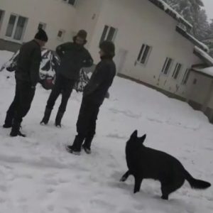 Мъж от Гинци подал първия сигнал за случая в бившата хижа „Петрохан“