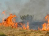 Пожар избухна край петричкото село Кърналово