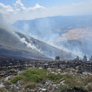 Продължава да гори пожарът в Гърция на границата с България