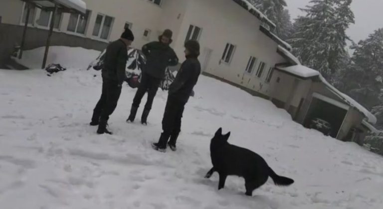 Мъж от Гинци подал първия сигнал за случая в бившата хижа „Петрохан“